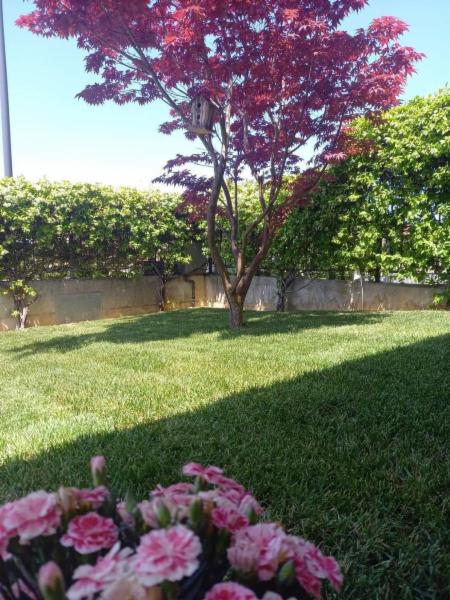 GARDENIA SAS - Foto 10
