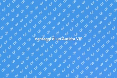 Autista per Servizi di Trasporto VIP