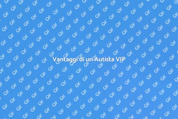 Perché Scegliere un Autista VIP