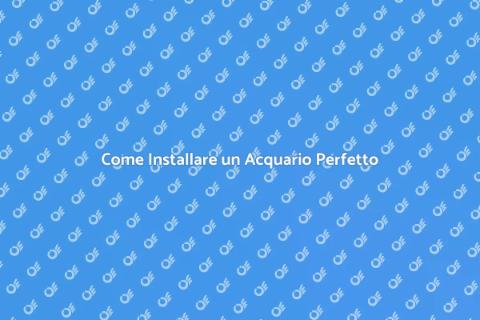 Installazione Acquario: Guida Completa