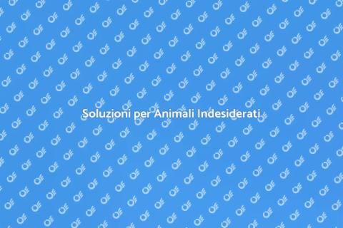 Controllo Animali Indesiderati a Casa
