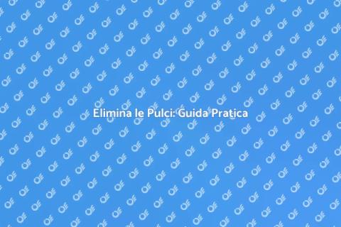 Disinfestazione Pulci: Soluzioni Efficaci