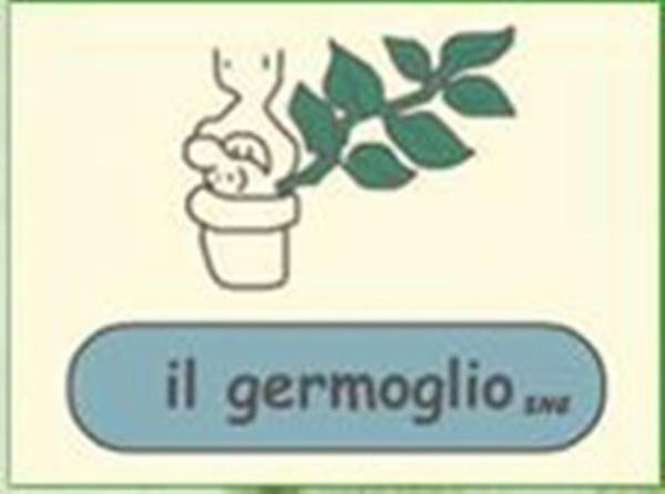 Giardinaggio Il Germoglio  - Foto 1
