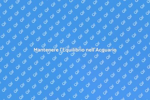 Equilibrio Chimico nell'Acquario