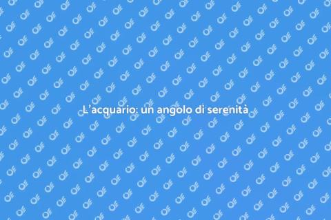 Acquario: gioia e bellezza quotidiana