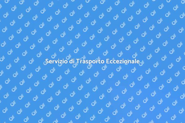 Trasporto Sicuro e Professionale