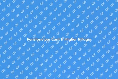 Pensione per Cani: Rifugio Sicuro