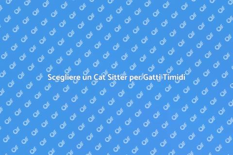 Cat Sitter Affidabile per Gatti Timidi
