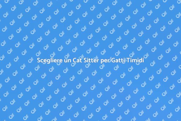 Cat Sitter: Sicurezza per Gatti Timidi
