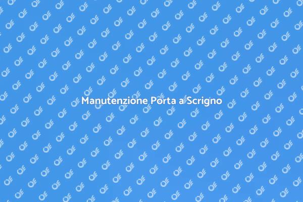 Servizio Specializzato per Porte a Scrigno