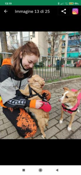 Dog/cat/pet sitter a Torino - Foto 4