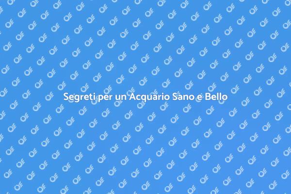 Come Mantenere il Tuo Acquario in Salute