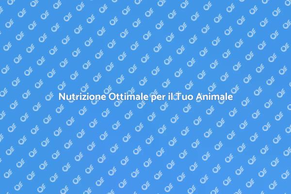 Alimentazione Ideale per il Tuo Amico