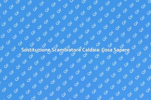 Importanza del Cambio dello Scambiatore