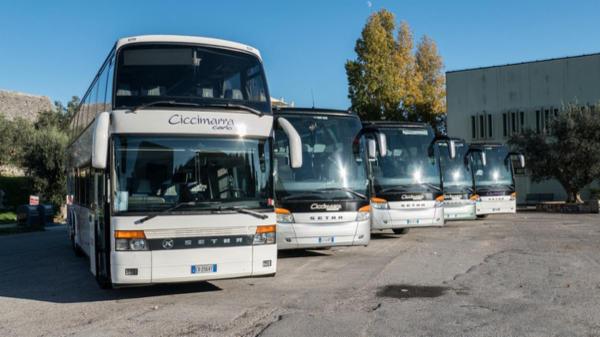 Ciccimarra Carlo e Figli Srl  - Foto 12