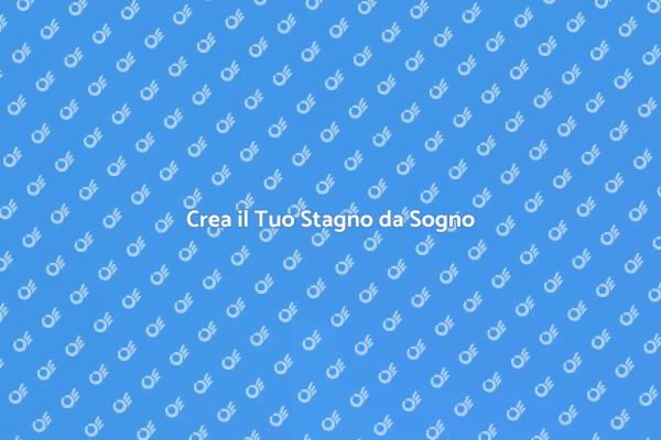 Trasforma il Tuo Giardino in un Stagno