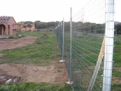 Monte Cadelano  - Foto 4