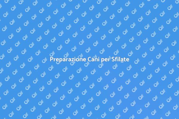 Sfilate Canine: Come Preparare il Tuo Cane