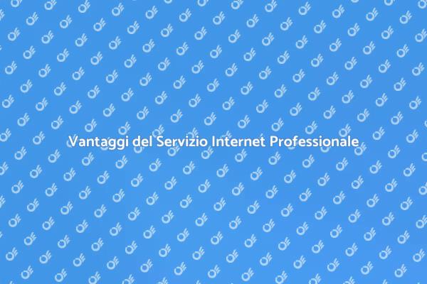 Perché Scegliere Assistenza Internet Professionale