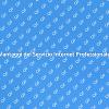 Perché Scegliere Assistenza Internet Professionale