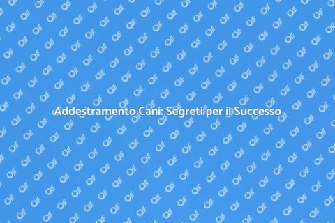 Addestramento Cani: Armonia con Fido