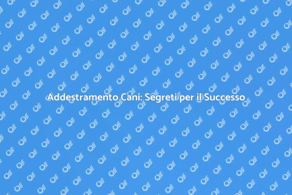 Armonia con il Tuo Fido: Addestramento Efficace