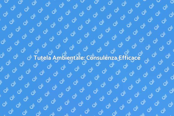 Consulenza per un Ambiente Sostenibile