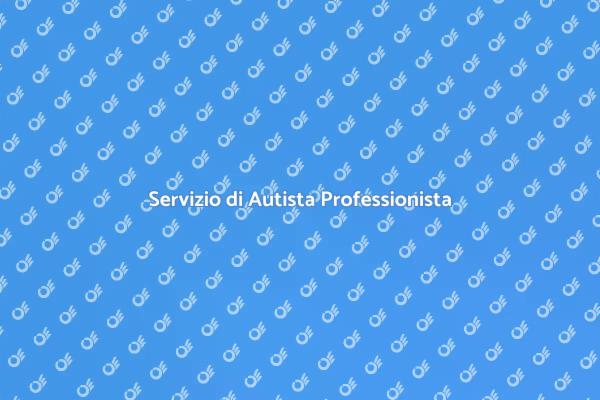 Viaggia in Comodità con un Autista
