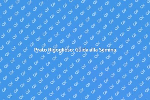 Semina del Prato: Segreti per il Verde