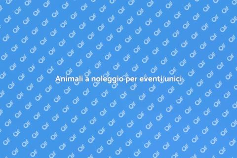 Affitto animali per eventi speciali