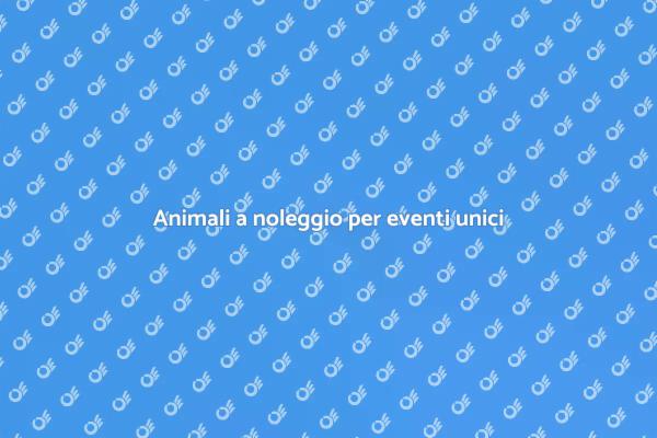Magia con animali per ogni evento