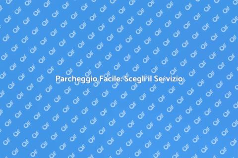 Servizio Parcheggiatore: Comodità e Sicurezza