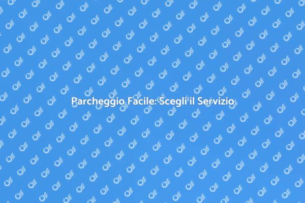 Parcheggiatore: La Soluzione ai Tuoi Problemi