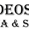 Videosys 