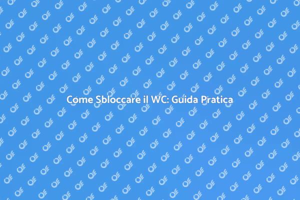 WC Bloccato? Ecco Come Risolvere!