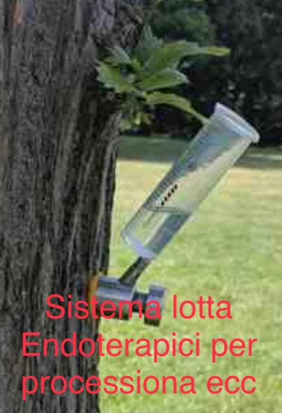 Ecopiakos - Foto 10