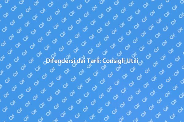 Proteggi il Tuo Legno dai Tarli