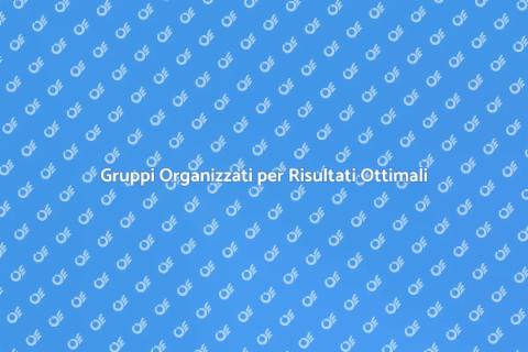 Organizzazione Gruppi per Servizi Efficaci