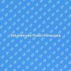 Ottimizzare Spazi con Parete Attrezzata