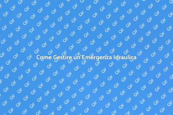 Come Affrontare un Problema Idraulico