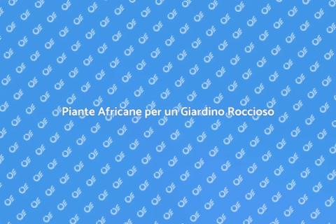 Giardino Roccioso con Piante Africane