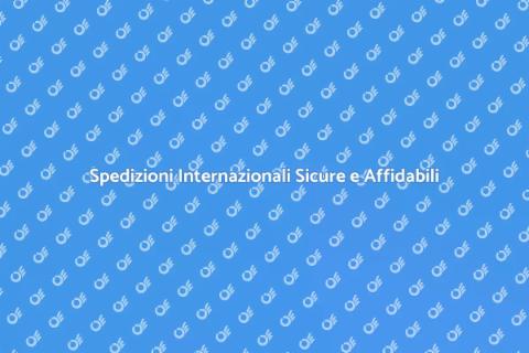 Trasporto Internazionale Specializzato