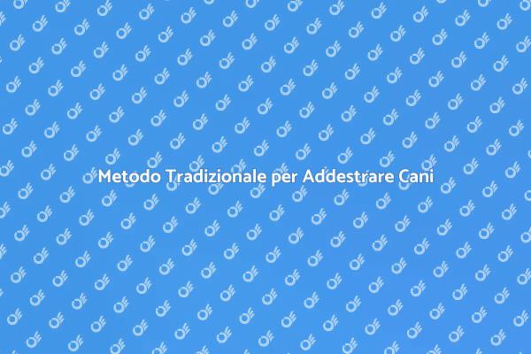Il Fascino dell'Addestramento Tradizionale