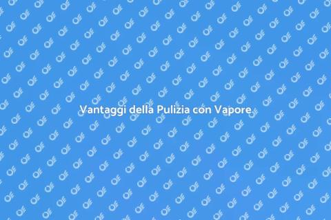 Pulizia Esterni Veicolo con Vapore