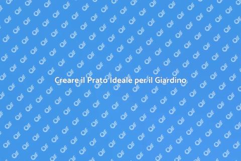 Il Prato Perfetto per il Tuo Giardino