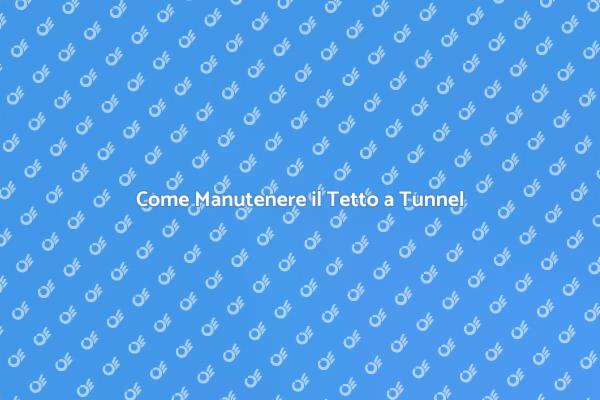 Manutenzione Efficace del Tetto a Tunnel