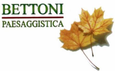 Paesaggistica Bettoni  - Foto 2