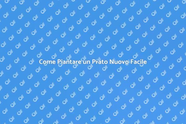 Trasforma il Tuo Giardino con un Prato Nuovo