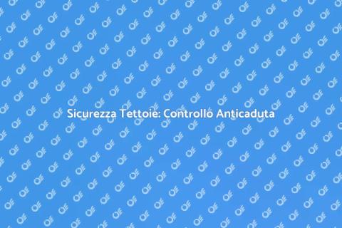 Controllo Annuale Sistemi Anticaduta