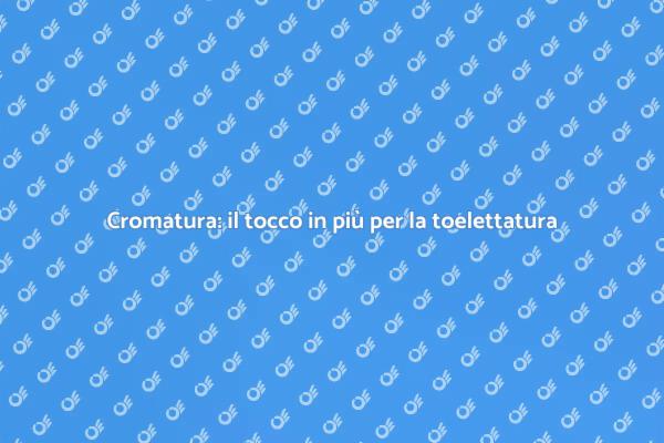 Elevare la toelettatura con la cromatura